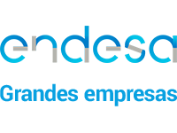 Endesa Grandes Empresas